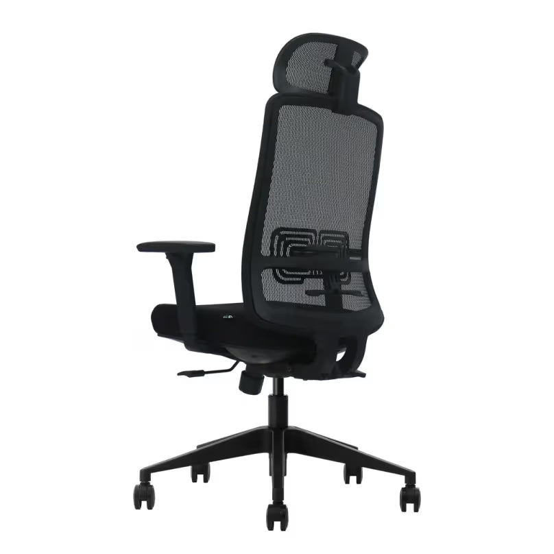 UGD Ergonomska kancelarijska stolica LumbarMax, Crna